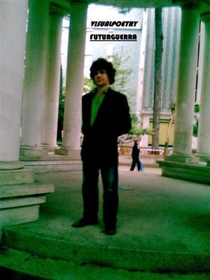 cover image of Visualpoetry